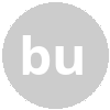 businessintelinsight.com